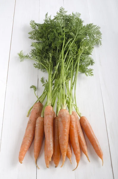 Freshly harvested carrots on a wooden table — Stock Photo, Image