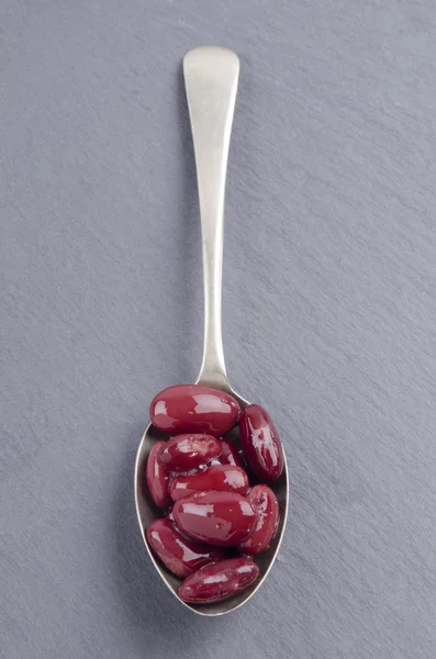 Cooked kidney beans on a spoon — Stok fotoğraf