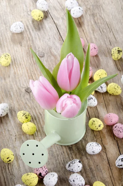 Rózsaszín tulipán zöld fény locsolókanna — Stock Fotó