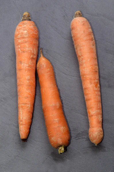 Fresh organic carrot on slate — Stock Photo, Image
