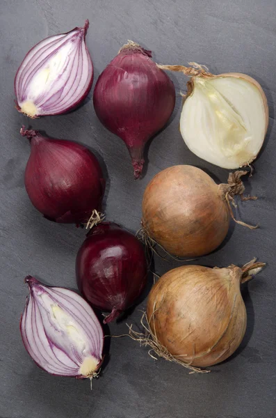 Slate üzerinde kırmızı ve beyaz soğan — Stok fotoğraf