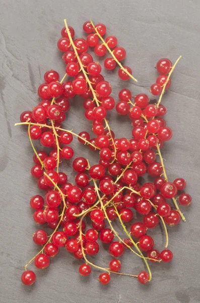 Fresh redcurrant on grey slate — Stock Photo, Image