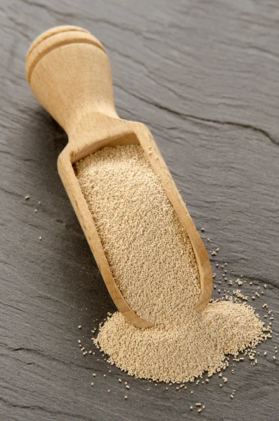 Dry yeast on a wooden shovel — Stock Photo, Image