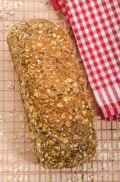 Baked whole wheat bread on a pink cooling rack — Stock Photo, Image