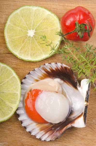 Raw scallop with lemon and tomato — Stock Photo, Image