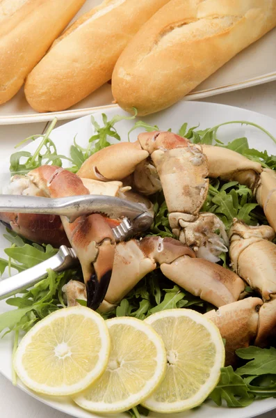 Crab claw opened with a nutcracker — Stock Photo, Image