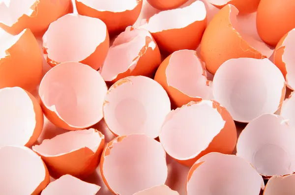 Empty brown egg shells — Stock Photo, Image