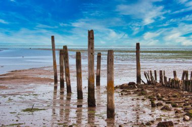 Texel Adası - mavi gökyüzü ve beyaz bulutlu deniz