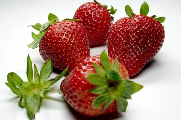 Erdbeere — Stock Fotó