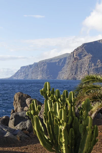 Teneriffa 2010 — Stock Photo, Image