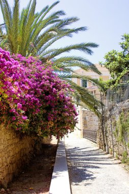 Rhodes çiçek Street