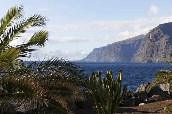 Tenerife los gigantes — стокове фото