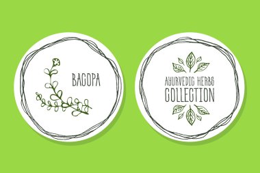 Ayurveda Herb - ürün etiketi ile Bacopa