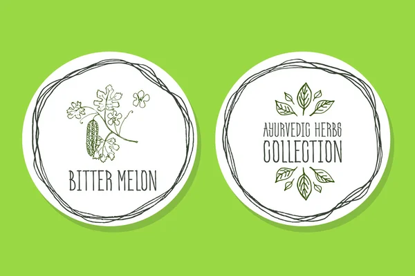 Ayurvedisk ört - produktens etikett med Bitter melon — Stock vektor