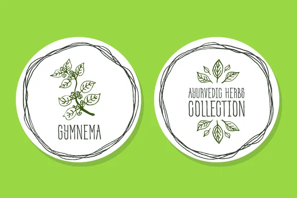 Аюрведические травы - этикетка продукта с Gymnema presidentestre — стоковый вектор