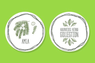 Ayurveda Herb - ürün etiketi ile Amla