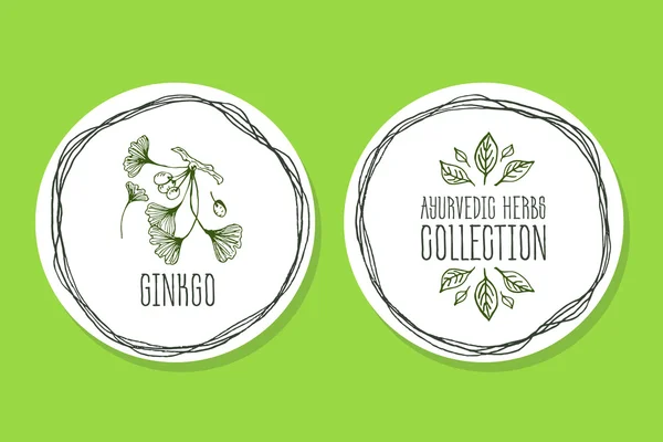 Ayurveda Herb - ginkgo ile ürün etiketi — Stok Vektör