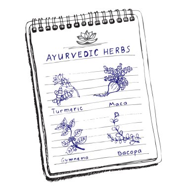 handdrawn set - Ayurveda otlar