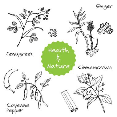 Handdrawn Set - Health and Nature clipart