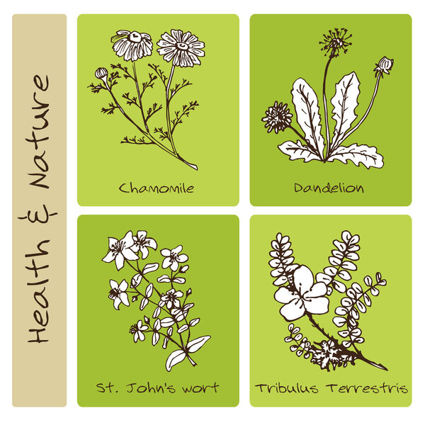 Handdrawn Set - Health and Nature