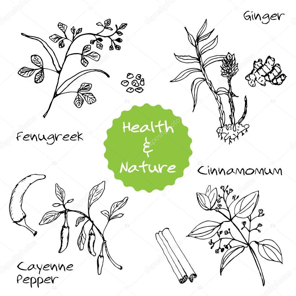 Handdrawn Set - Health and Nature