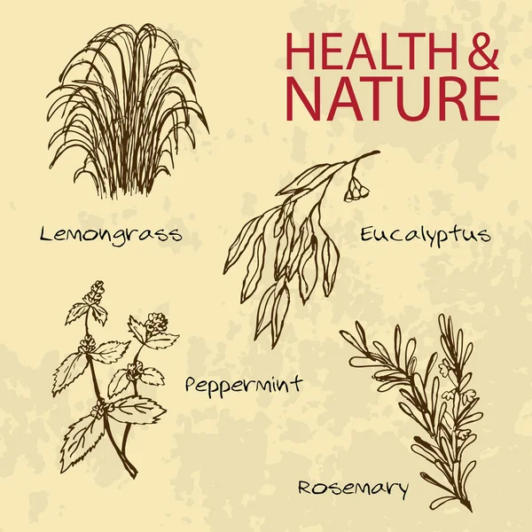 Рисунок от руки - набор здоровья и природы — стоковый вектор