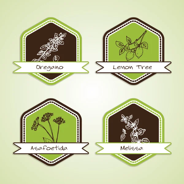 Verzameling van biologische natuurproduct badges — Stockvector