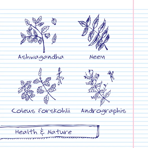 Εικονογράφηση handdrawn - υγείας και το σύνολο της φύσης — Διανυσματικό Αρχείο
