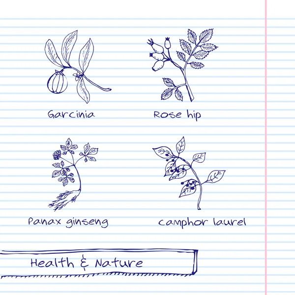 Ilustración a mano - Salud y Naturaleza — Vector de stock