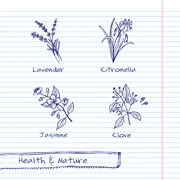 Handgetekende Illustration - gezondheid en natuur Set — Stockvector