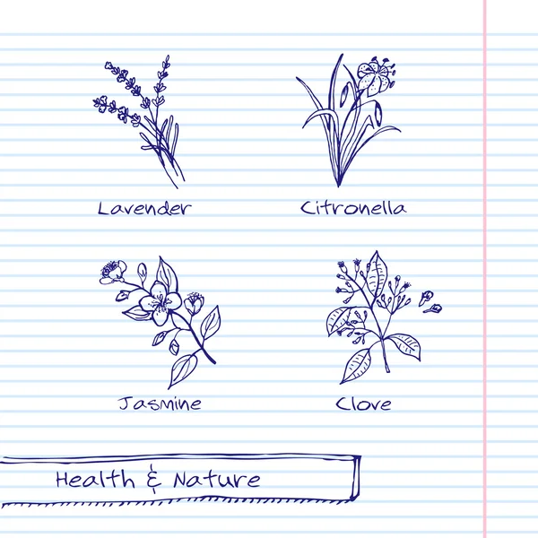 Ilustração desenhada à mão - Conjunto de saúde e natureza —  Vetores de Stock