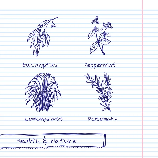 Рисунок от руки - набор здоровья и природы — стоковый вектор
