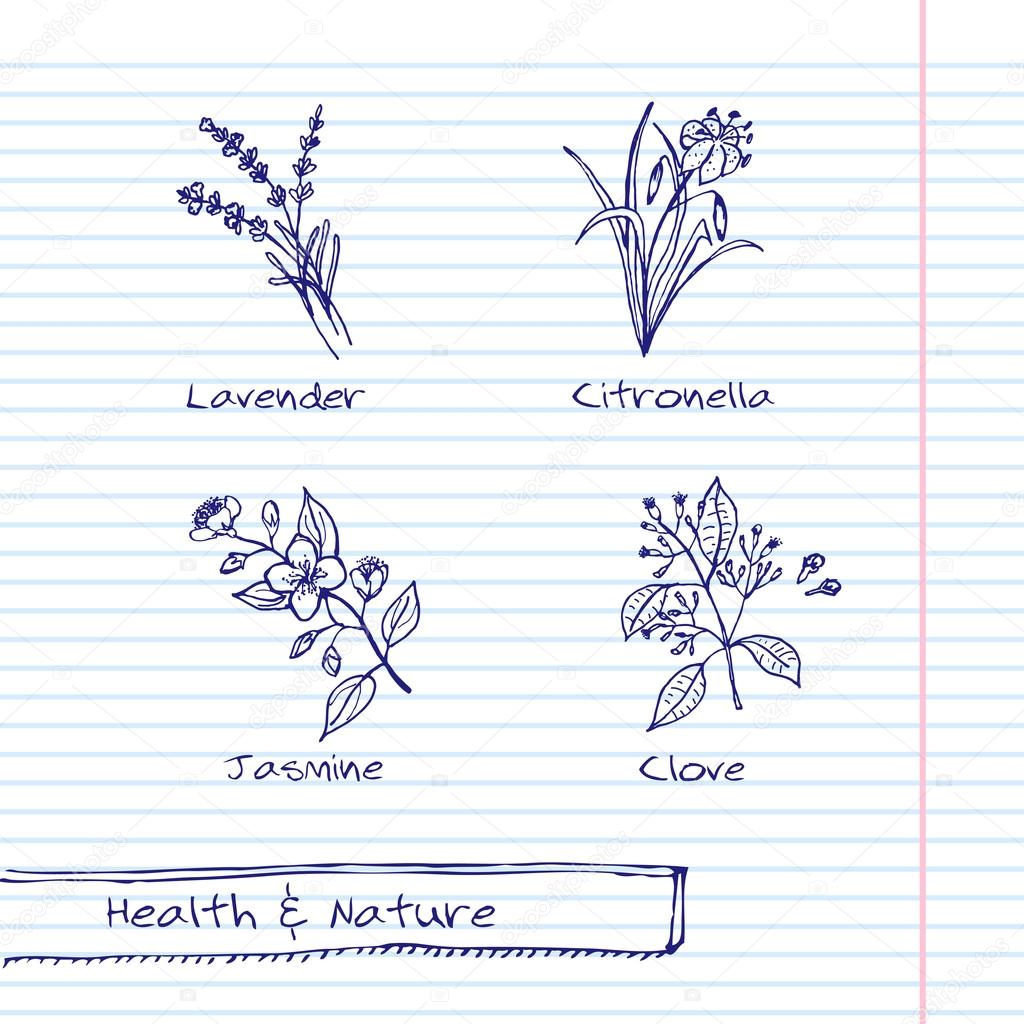 Handdrawn Illustration - Health and Nature Set