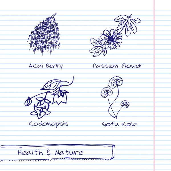 Ilustração desenhada à mão - Conjunto de saúde e natureza —  Vetores de Stock