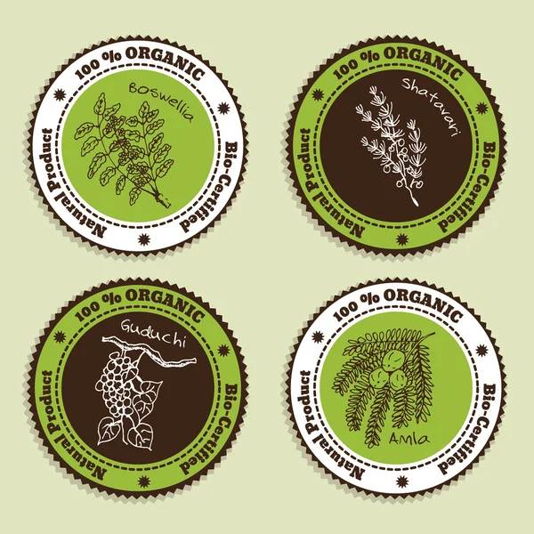 Set of Natural Organic Product badges — Stock Vector
