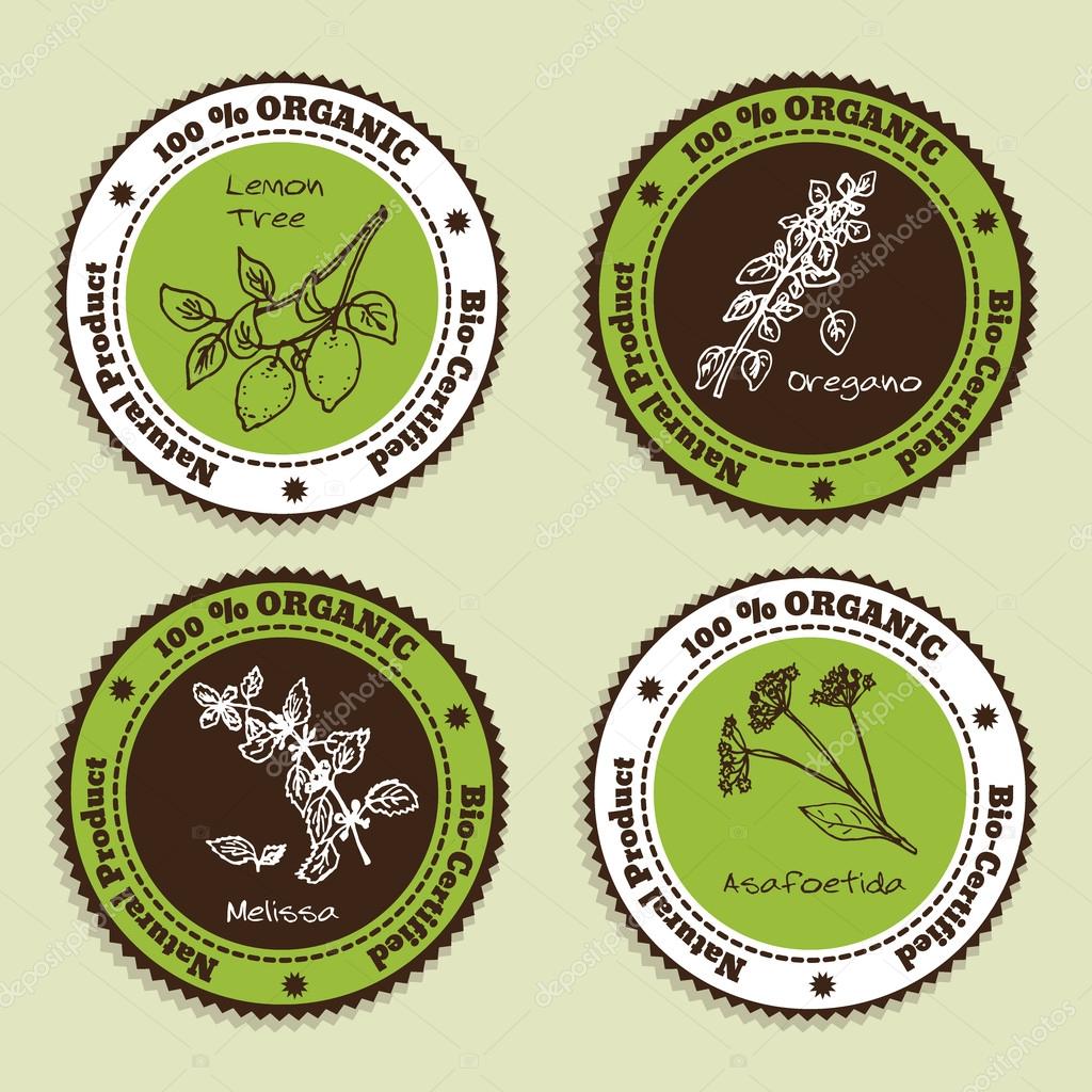 Set of Natural Organic Product badges. Collection of Herbs. Labels for Essential Oils and Natural Supplements.  Oregano, Lemon Tree, Melissa, Asafoetida