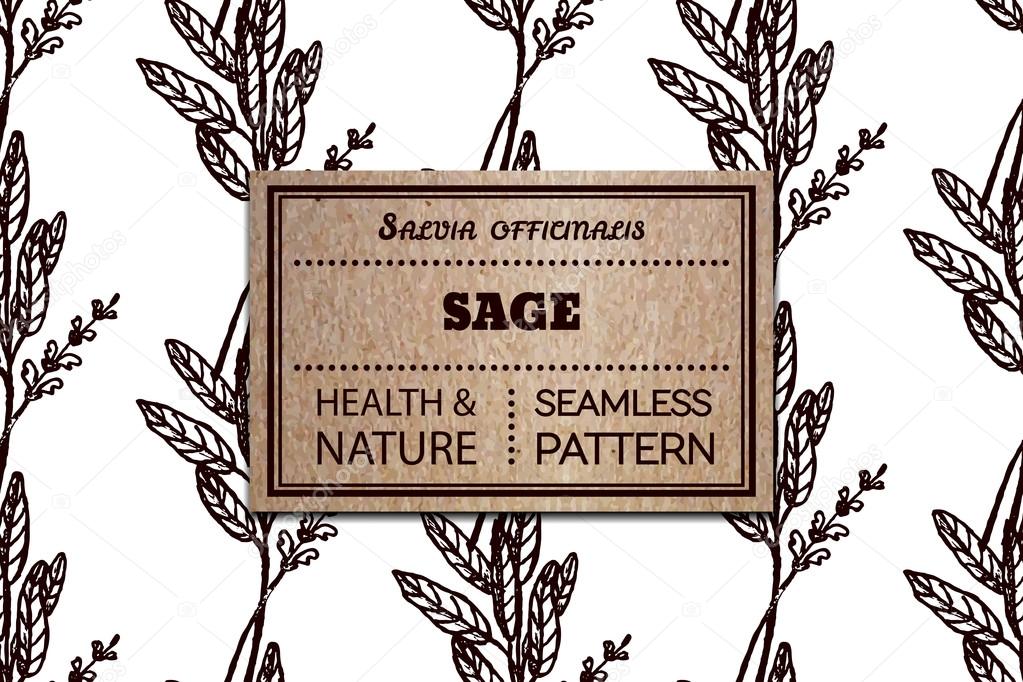 Health and Nature Collection. Seamless pattern with a herb and cardboard card.  Sage - Salvia officinalis