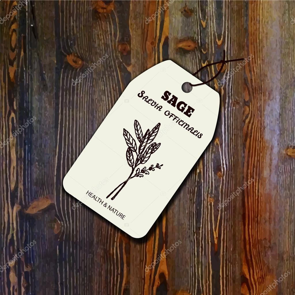 Health and Nature Collection. Tag template with a herb on wood background. Sage - Salvia officinalis
