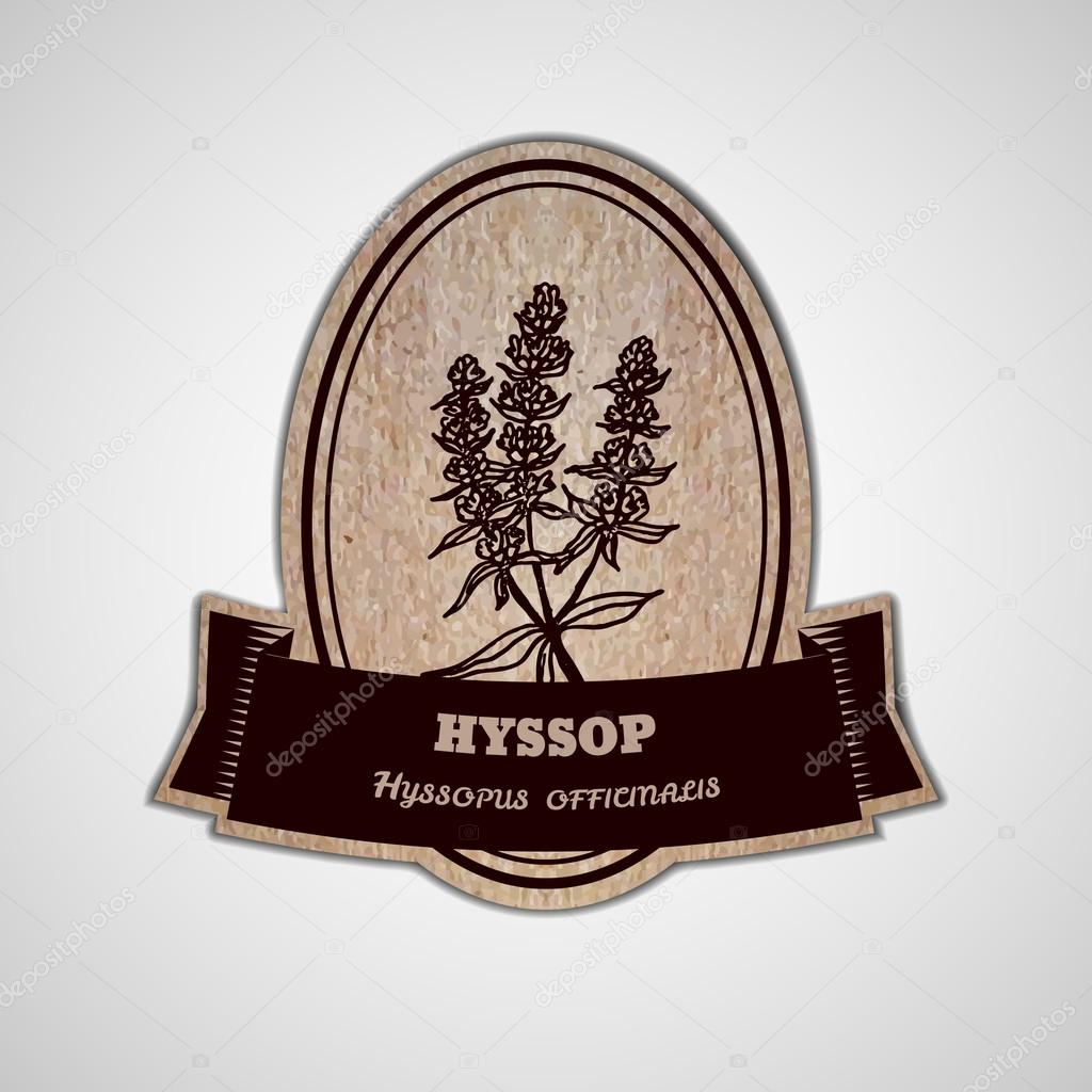 Health and Nature Collection. Badge template with a herb on cardboard background.  Hyssop - Hyssopus officinalis