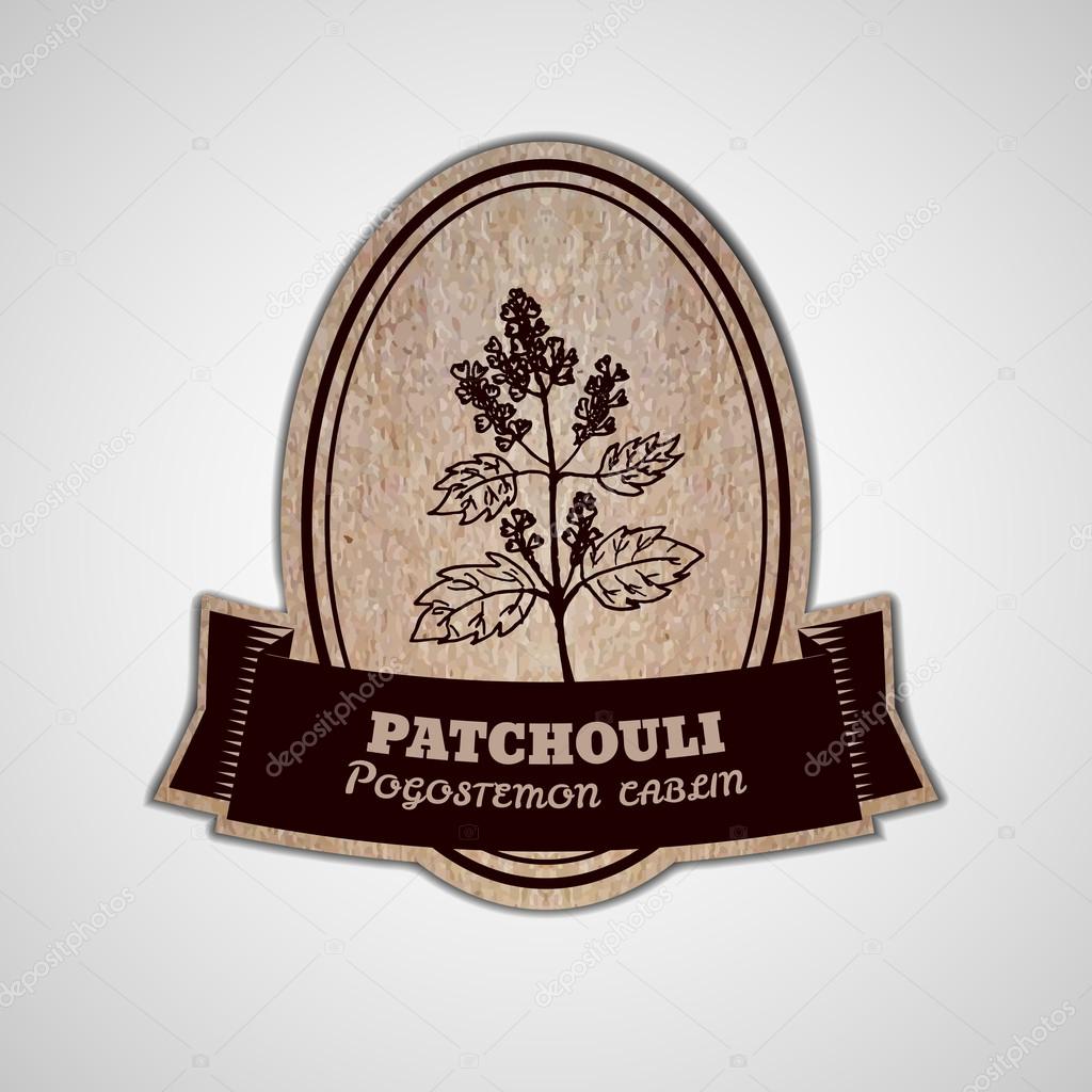 Health and Nature Collection. Badge template with a herb on cardboard background.  Patchouli  - Pogostemon cablin