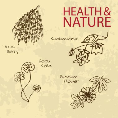 Handdrawn Illustration - Health and Nature Set clipart