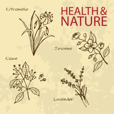 Handdrawn illüstrasyon - sağlık ve doğa seti