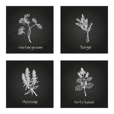 Handdrawn illüstrasyon - sağlık ve doğa seti