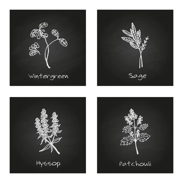 Handdrawn Illustration - hälsa och natur Set — Stock vektor