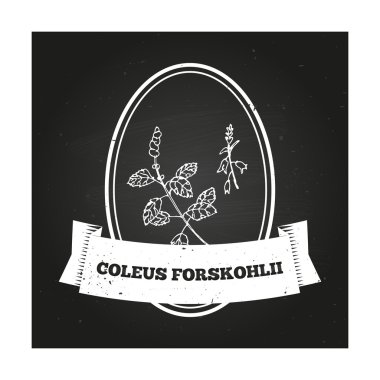 Sağlık ve doğa koleksiyonu