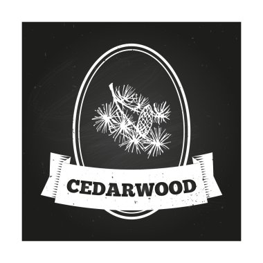 Sağlık ve doğa koleksiyonu