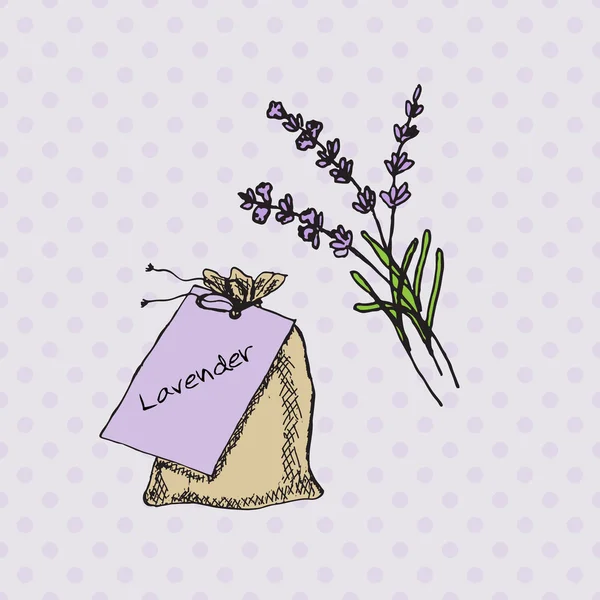 Colección Salud y Naturaleza. Lavanda — Vector de stock