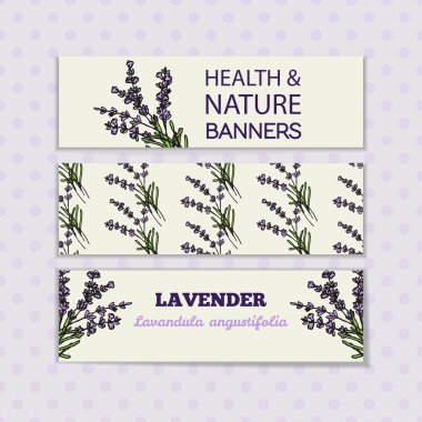 Health and Nature Collection. Lavender clipart