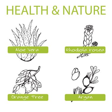 Handdrawn Set - sağlık ve doğa. Tıp otlar topluluğu