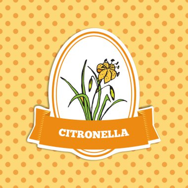 Sağlık ve doğa koleksiyonu. Citronella